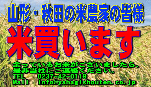 ���㤤�ޤ���
